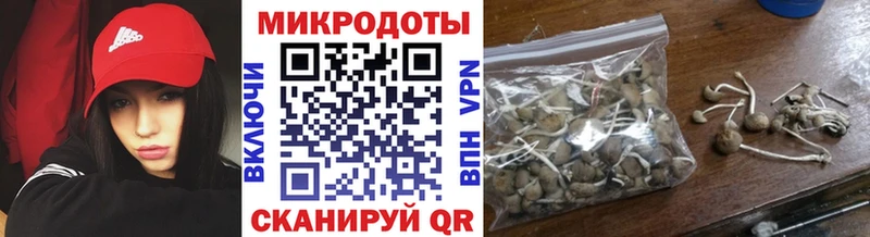 магазин    Сольвычегодск  сайты даркнета состав  Галлюциногенные грибы ЛСД 